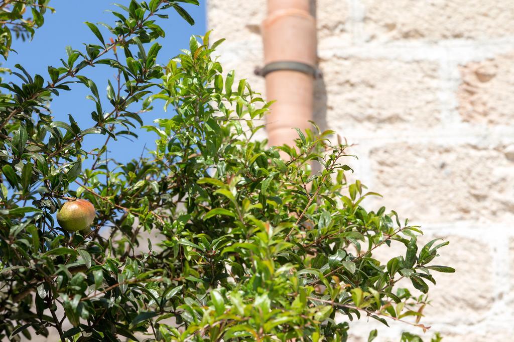 Il Borgo Del Principino Aparthotel Favignana Exterior photo